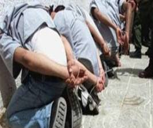   مصر اليوم - ضبط 48 محكومًا و227 مخالفة مرورية في الإسماعيلية