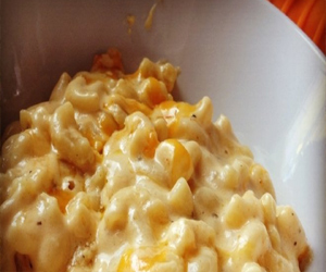   مصر اليوم - مكرونة الدجاج بالجبن الكريمي