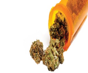   مصر اليوم - استخدام الحشيش في تصنيع الأدوية يتسبب في تضرر الكليتين