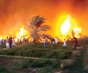   مصر اليوم - حريق هائل يلتهم 100 فدان في مشروع وادي النقرة في أسوان