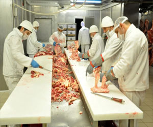   مصر اليوم - استمرار أزمة لحوم الخيل في أوروبا