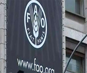   مصر اليوم - كارثة زراعية وغذائية تهدد مالي بسبب الحرب والجفاف