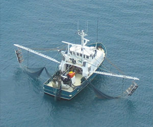   مصر اليوم - الخارجية تحذر المصريين من الصيد في المياه السعودية من دون تصريح