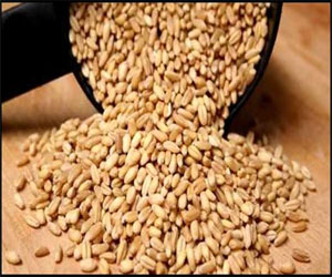   مصر اليوم - تأجيل مؤتمر غرفة الحبوب لـ 26 فبراير