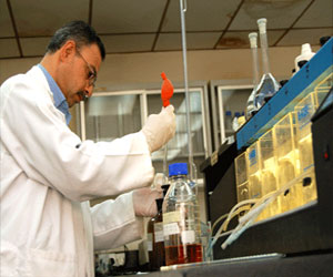   مصر اليوم - علماء يتوصلون لجزيء يعمل على كبح جماح سرطان الكبد