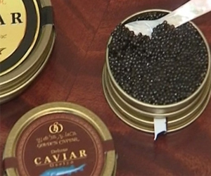   مصر اليوم - كافيار في معرض في الرياض يصل سعره لمليون ريال للكيلو