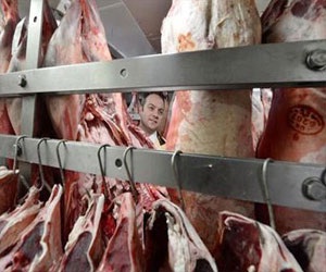   مصر اليوم - بريطانيا توسع اختبارات الكشف عن لحوم خيول في منتجات غذائية