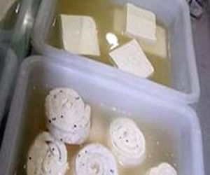   مصر اليوم - ضبط معملٍ في الدقهلية يصنع جبنًا فاسدًا