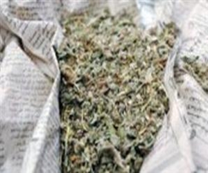   مصر اليوم - ضبط 250 كيلو بانجو بحوزة عاملين داخل سيارة ملاكي في المحلة الكبرى