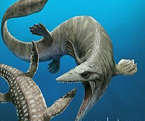   مصر اليوم - وحش بحري قبل التاريخ يحمل إجابات عن النظام البيئي للكوكب