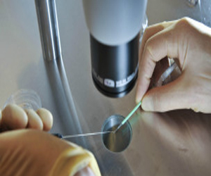   مصر اليوم - عمليات أطفال الأنابيب  يجب أن تجرى مبكرًا وللسيدات الأكبر عمرًا