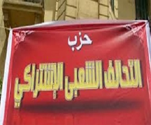 مصر اليوم - التحالف الشعبي في الإسماعيلية ينظم أول قافلة طبية في قرية الواصفية