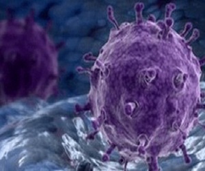   مصر اليوم - عقار لعلاج الإنفلونزا يظهر نتائج واعدة في التغلب على مقاومة الفيروس