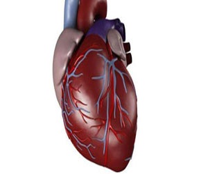   مصر اليوم - علماء يطورون جيلاً لإصلاح الأنسجة التالفة لمدى مرضى القلب