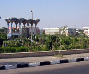   مصر اليوم - سيناوي يتبرع بـ 100 فدان لصالح جامعة قناة السويس