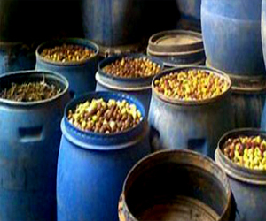   مصر اليوم - ضبط 4 طن من المخللات مجهولة المصدر في الإسماعيلية