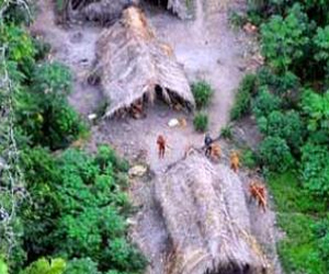   مصر اليوم - باحثون يحذرون من تسارع وتيرة اقتلاع غابات الأمازون