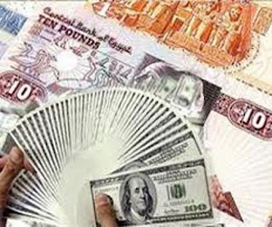   مصر اليوم - استقرار الدولار أمام الجنيه المصري