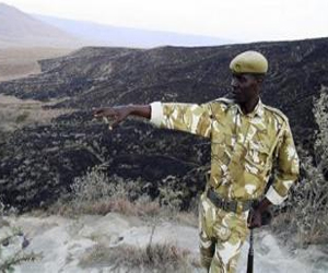   مصر اليوم - حرائق الغابات تحاصر الحياة البرية في كينيا