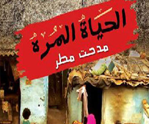   مصر اليوم - الحياة المرة رواية سياسية لمدحت مطر