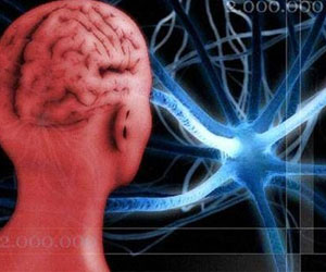   مصر اليوم - يابانيون يطورون علاجًا للباركنسون عند الفئران