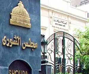 مصر اليوم - الشباب في الشورى: الرياضة في مصر تدار بطريقة عشوائية