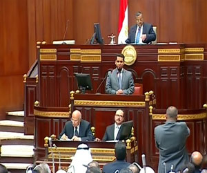   مصر اليوم - الشورى يوافق مبدئيًا على إعادة ترسيم الحدود بين مصر وقبرص