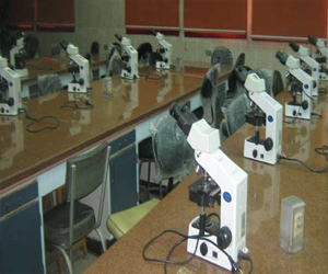   مصر اليوم - بدء برنامج الصيدلة الإكلينيكية في طنطا