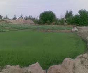   مصر اليوم - تقرير: المعادن الثقيلة تلوث عشر الاراضي الزراعية الصينية