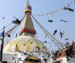 مصر اليوم - البيئة العدوانية تؤثر على الطيور المغردة