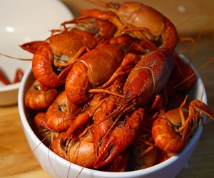   مصر اليوم - مطعم ياباني يغرم كل من لا يُنهي طعامه