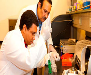   مصر اليوم - الكشف عن الجين المسبب للبدانة وسرطان الجلد