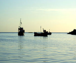   مصر اليوم - إنقاذ 77 مهاجرا صوماليا في جزيرة لامبيدوزا الإيطالية