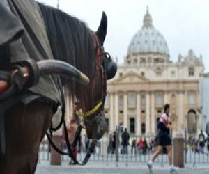   مصر اليوم - الكرادلة ينهون اخر مؤتمراتهم العامة وتكهنات حول هوية البابا الجديد