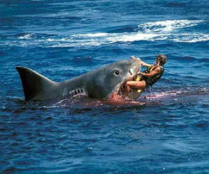   مصر اليوم - بريطاني يفصل من عمله لأنه أنقذ حياة أطفال