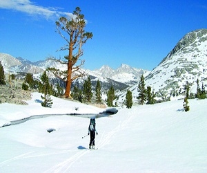 مصر اليوم - سييرا هاي روت تتيح للسياح إمكانية الاستمتاع بالتزلج على الجليد