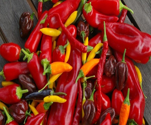 مصر اليوم - الفلفل الحار ينقص الوزن