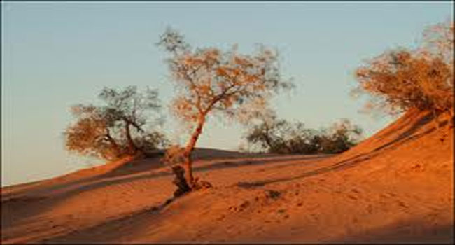  مصر اليوم - محاميد الغزلان المغربية تحتضن مهرجان الرُحَّل والماء
