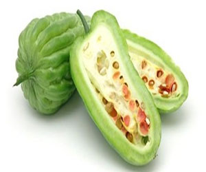   مصر اليوم - دراسة: عصير البطيخ المر يقى من سرطان البنكرياس