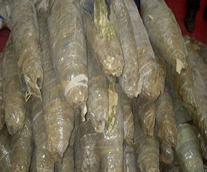   مصر اليوم - ضبط 400 كجم من مخدر البانجو قبل ترويجها في السويس