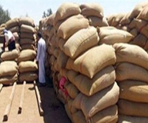   مصر اليوم - وصول 38 ألف طن من الغلال إلى ميناء الإسكندرية