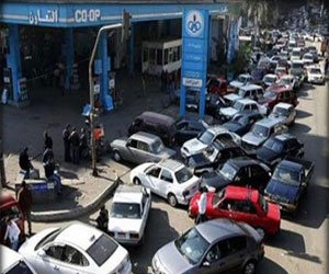   مصر اليوم - احتجاج العشرات في الأربعين للمطالبة بالسولار تحت شعار الحمار هو الحل