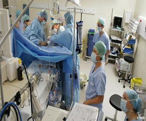   مصر اليوم - علماء يطورون آلة تبقي الكبد حيًا خارج الجسم