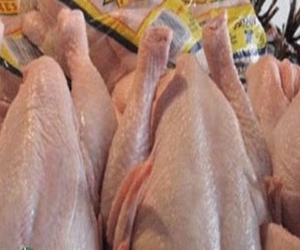   مصر اليوم - ضبط دواجن فاسدة قبل توريدها لقوات الأمن في الفيوم