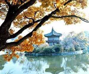 مصر اليوم - الشتاء في كوريا الآن أقصر من الشتاء في الثمانينات