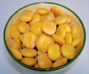 مصر اليوم - الجزر والترمس مفيدان لمرضى السكر