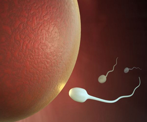   مصر اليوم - الحيوانات المنوية جودتها أعلى في الشتاء