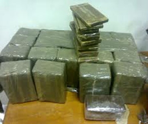   مصر اليوم - ضبط 200 طربة حشيش تزن 50 كيلوغرامًا مع عاطل في الإسكندرية