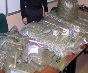   مصر اليوم - ضبط 30 كيلو بانجو مع عاطل في الإسماعيلية