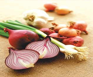 مصر اليوم - البصل يمنع هشاشة العظام